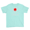 aviation air canada crew Youth Tee