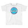 breaking bad a1a car wash Toddler T-shirt