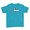 i am not insane Youth Tee