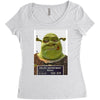 shrek mug shot funny Women's Triblend Scoop T-shirt