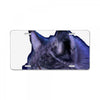 1519756025333 trimmed License Plate
