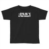 temperature 273.15 is the coolest Toddler T-shirt