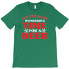 it's the most wonderful time for a beer T-Shirt