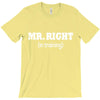 mr right in training T-Shirt