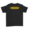 Swhbb Festival Youth Tee