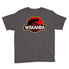 Wakanda Park Youth Tee
