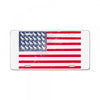 t-rex vintage american flag License Plate