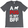 a pug is my bff T-Shirt
