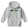 tortoise caught Youth Hoodie