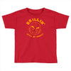 krillin with my homies Toddler T-shirt