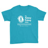 the hokey pokey clinic Youth Tee