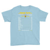 Gemini Facts Zodiac Youth Tee
