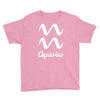 aquarius zodiac Youth Tee