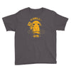 vermilion gym Youth Tee