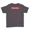 harambe gorilla Youth Tee