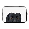 Dog2 Laptop sleeve