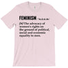 Feminism Noun T-Shirt