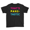 pansexual pride Youth Tee