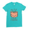 my cat is on the internet Ladies Fitted T-Shirt