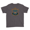 summer of mystery Youth Tee