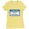i stole your identity and now my life sucks Ladies Fitted T-Shirt