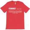Feminist Noun T-Shirt