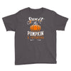 sweet as pumpkin pi Youth Tee