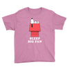 Sleep Big Fan Youth Tee
