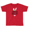 sister bunny Toddler T-shirt