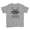 vintage 2000 a star was born aged perfection Youth Tee