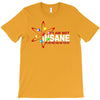 i am not insane inspired by the big bang theory, ideal birthday T-Shirt