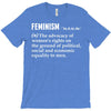 Feminism Noun T-Shirt