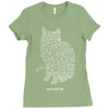 schr&ouml;dinger&rsquo;s equation Ladies Fitted T-Shirt