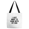 i just want to hang with my dog Tote Bags
