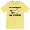 are you looking at my weiner t shirt funny dog wiener dachshund s m l T-Shirt