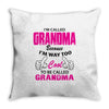 I&rsquo;m Called Grandma Because I&rsquo;m Way Too Cool To Be Called Grandma Throw Pillow