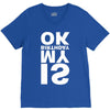 is my birthday ok V-Neck Tee