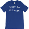 what do you mean 2016 tour T-Shirt