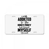 i was addicted to the hokey pokey License Plate