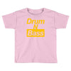drum n bass birthday music Toddler T-shirt