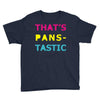 pansexual pride Youth Tee