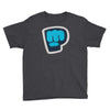 pewdiepie the blue brofist Youth Tee