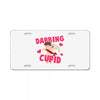 DABBİNG LEPRECHAUN License Plate