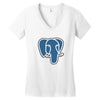 fahrie77 Women's V-Neck T-Shirt