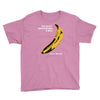 the velvet underground rock music band Youth Tee