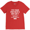 I'm Your Mother's Day Gift Dad Says You're Welcome Baby V-Neck Tee