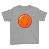 Dragon Ball 4 Star Youth Tee