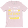 Nobody Is Perfect But If You Are A Grandmom You Are Pretty Damn Close T-Shirt