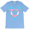 transgender T-Shirt