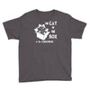 the cat in the box Youth Tee